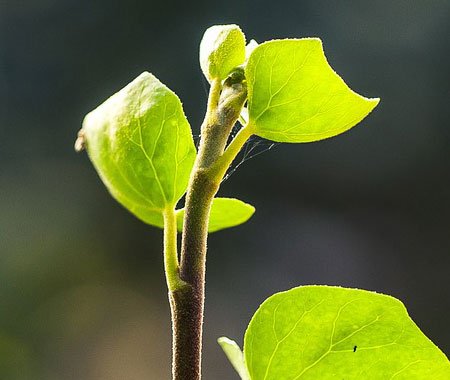 Gallery gardener gallery 3